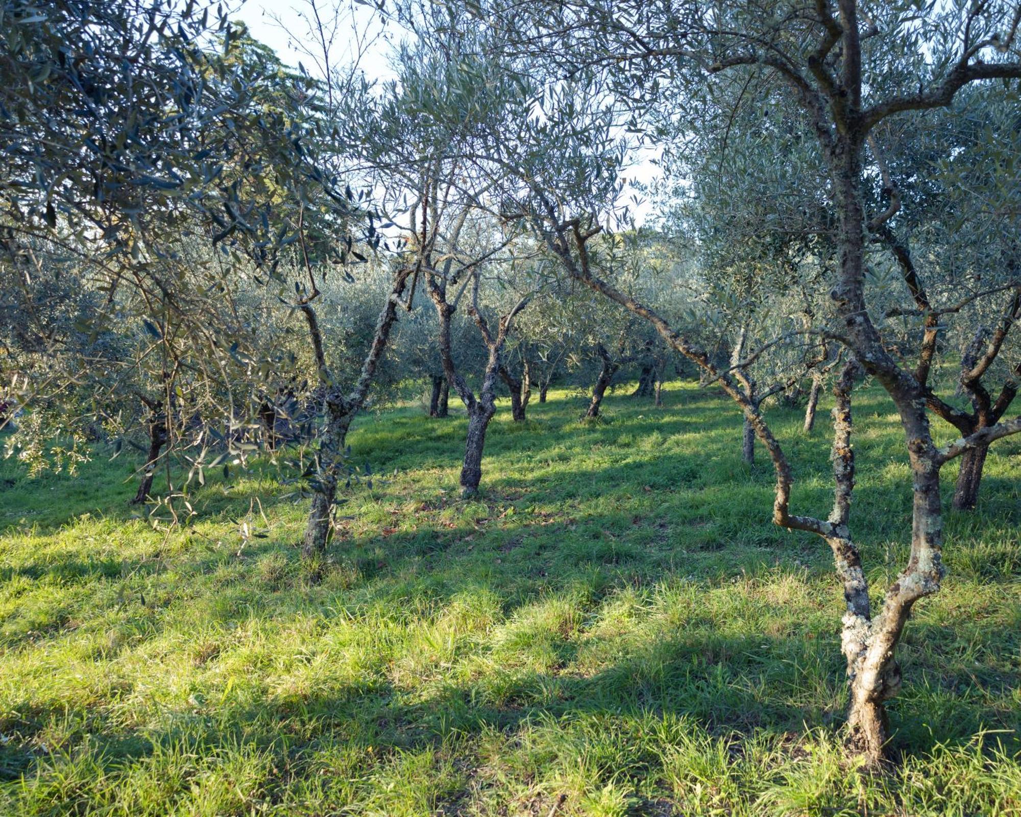 Il Nuvoloso 2 Città della Pieve Εξωτερικό φωτογραφία